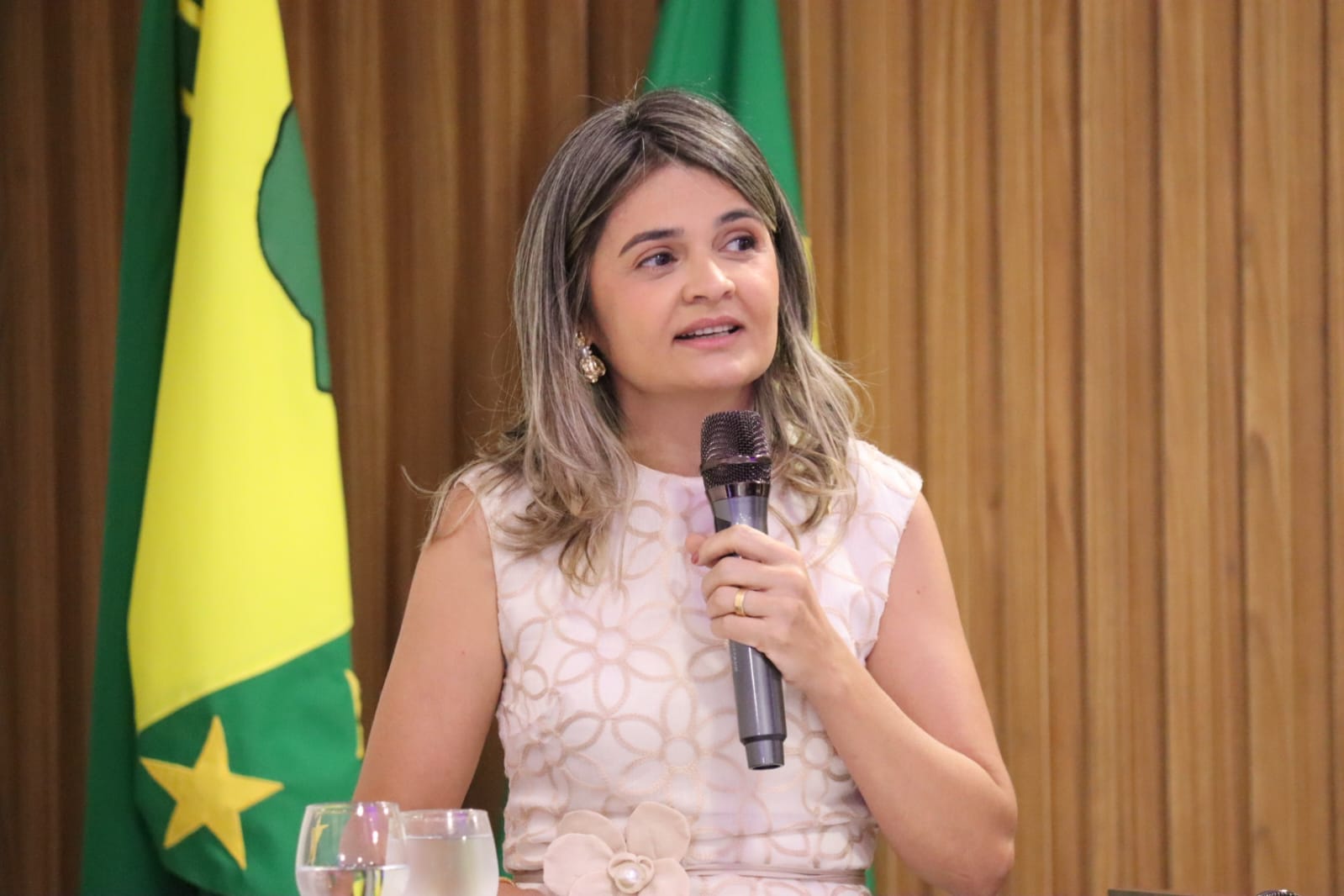 Janaina conduzindo formação em Acreditação ONA, registro 5 de 14